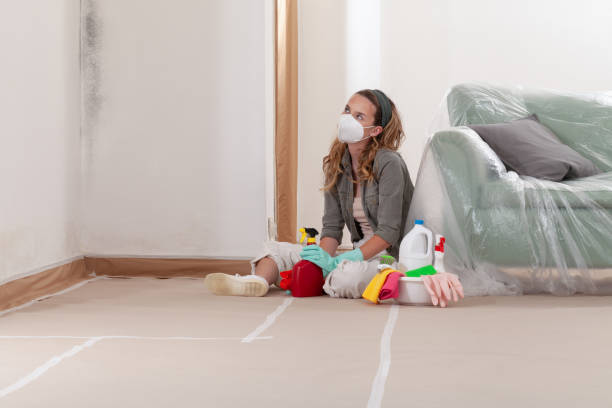 Reliable Mold Cleanup contractor in Maugansville, MD by WQB Mold Removal